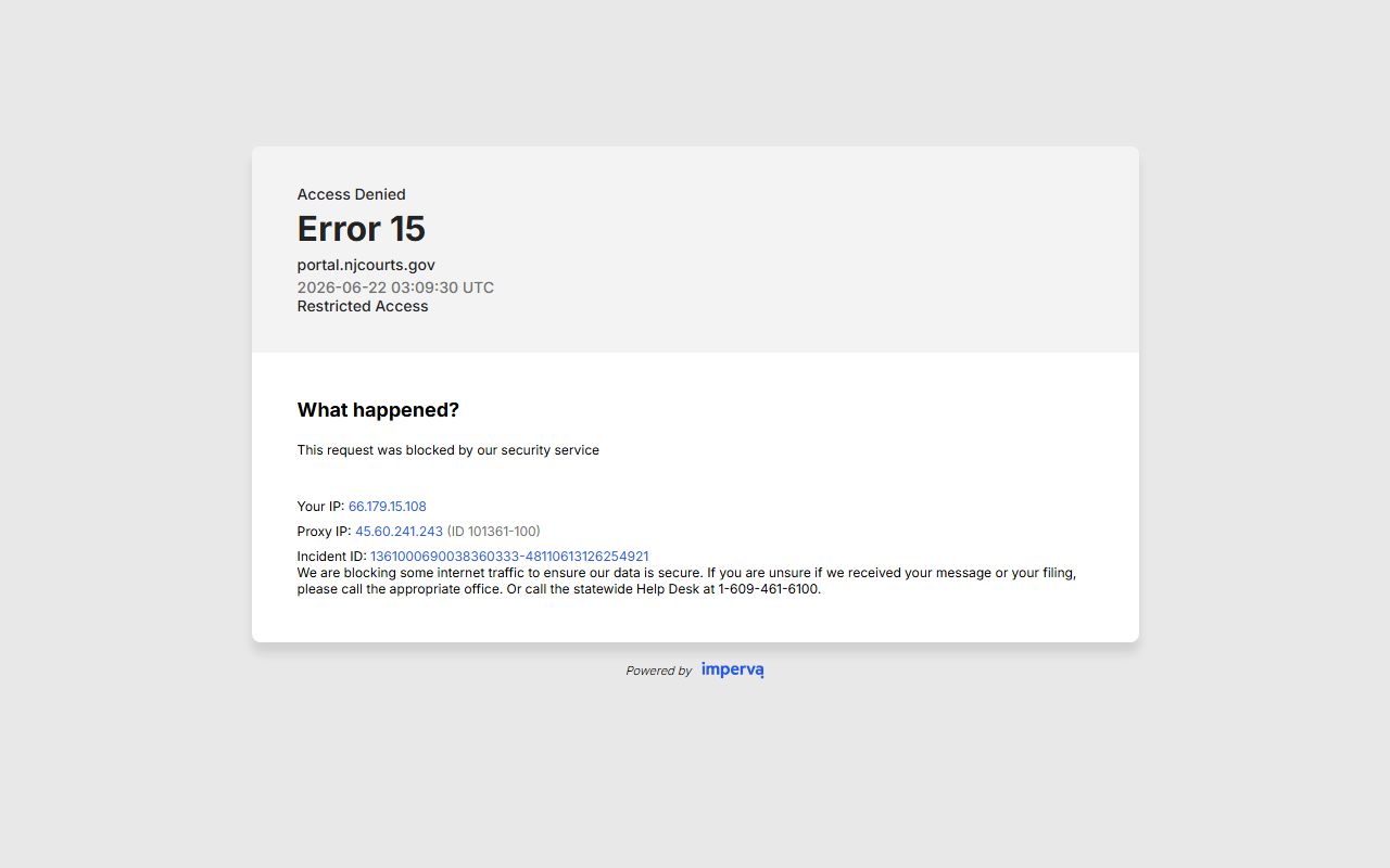 PROMIS Gavel criminal public access portal with captcha